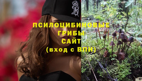 прущий лед Балахна
