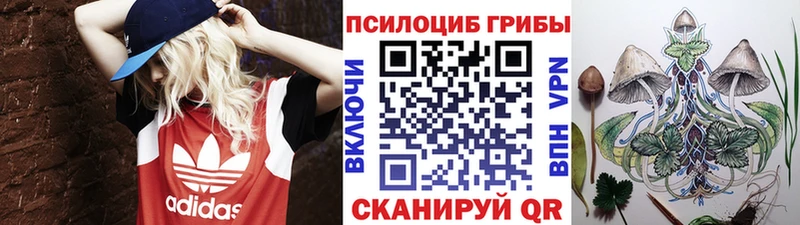 Купить  Льгов  Псилоцибиновые грибы Magic Shrooms 